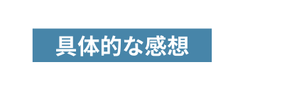 具体的な感想