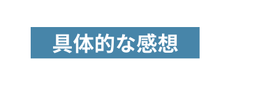 具体的な感想